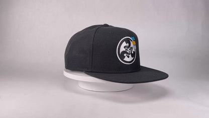 Deep Cut/Splatfest Circle Logo (Black on Silver) Embroidered Snapback Hat